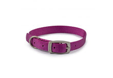 Load image into Gallery viewer, Viva Collar Size 1 (Black, Blue, Red, Green, Purple, Pink)

