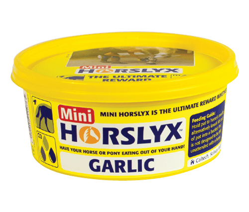 Mini Horslyx Garlic 650g