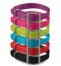 Load image into Gallery viewer, Viva Collar Size 4 (Black, Blue, Red, Green, Purple, Pink)
