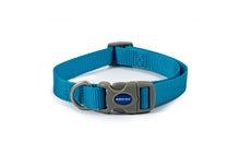 Load image into Gallery viewer, Viva Buckle Collar Size 2-5 30-50cm (Black, Blue, Red, Green, Purple, Pink)
