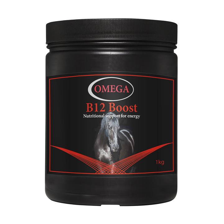 Omega B12 Boost 1kg - Forest Pet Supplies