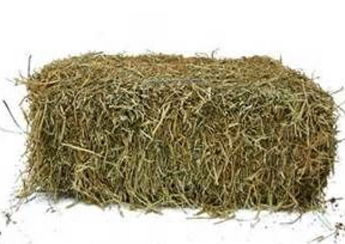 Hay Bale - Forest Pet Supplies